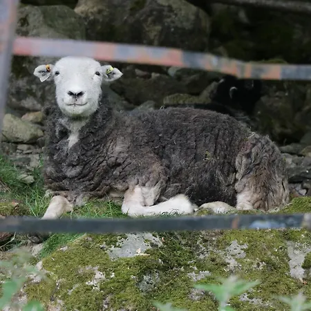Prázdninový dům The Bothy